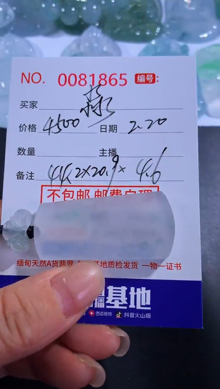 【闪购商品】翡翠颈饰未镶嵌淼
