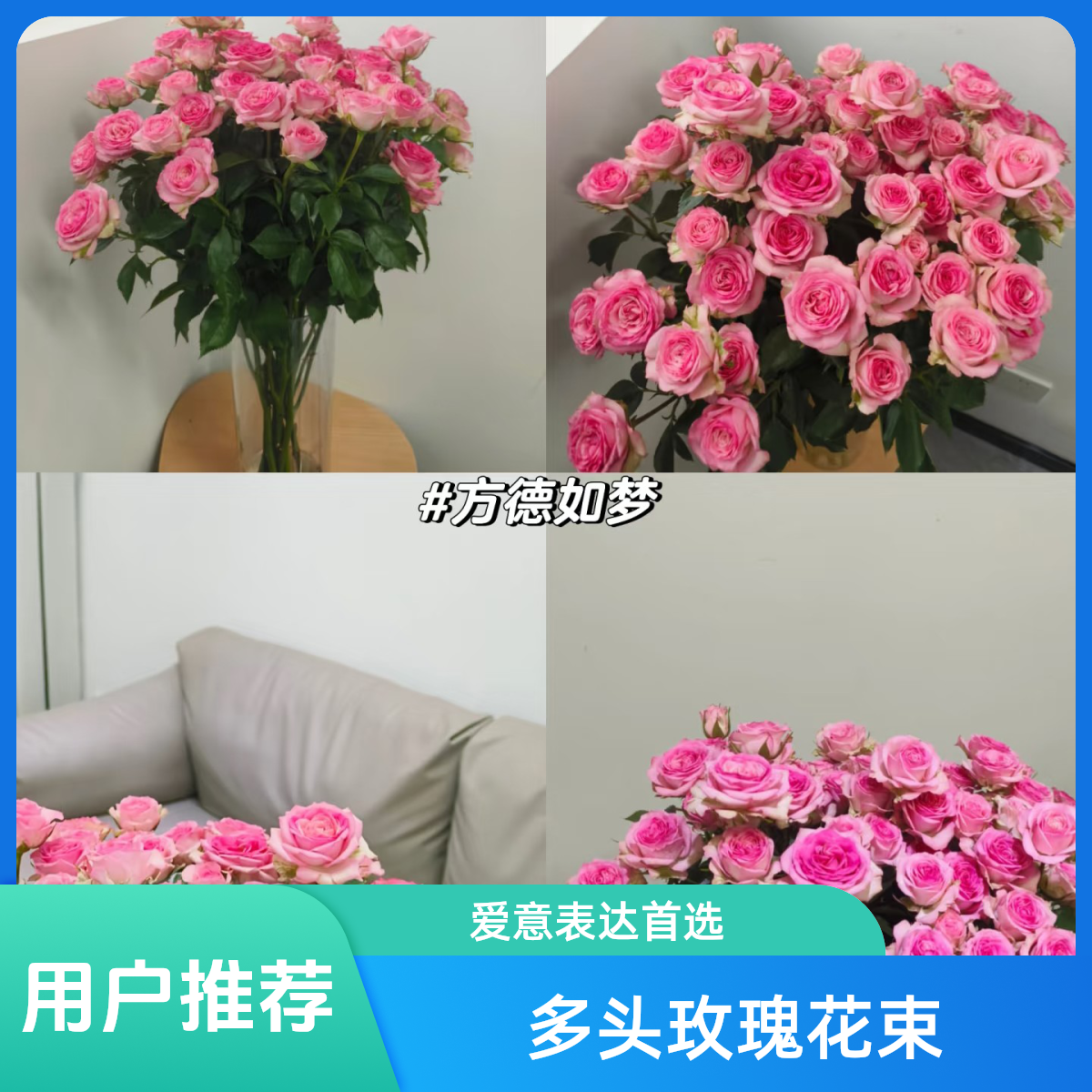 【香羿鲜花】多头玫瑰  如梦5枝/全场任意满2单包邮