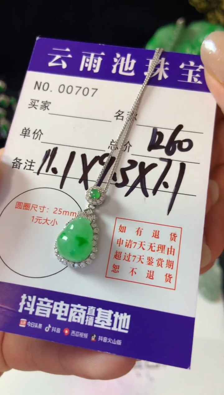 【闪购商品】翡翠颈饰银S925镶嵌翡翠