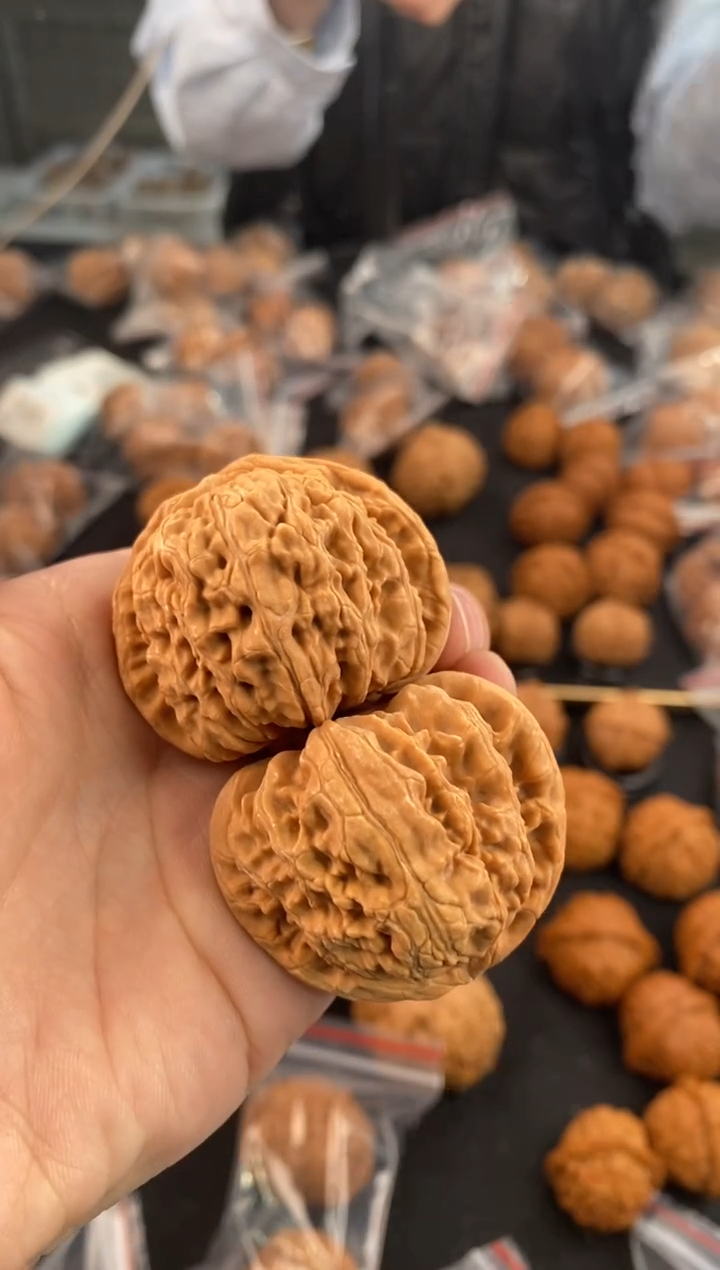 【闪购商品】文玩核桃把件白狮子42-x627