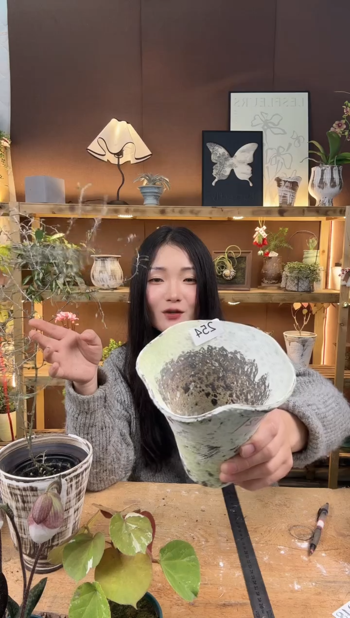 无花朵木**年编号   254  景德镇手绘花盆