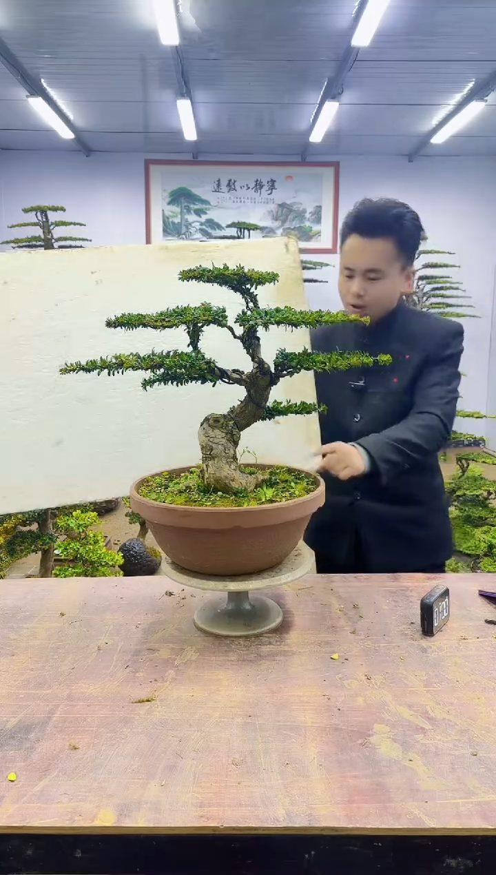 【闪购商品】一物一拍，所见即所得