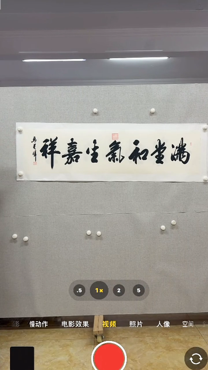 【闪购商品】书法-绘画-马贵军-4平尺书法