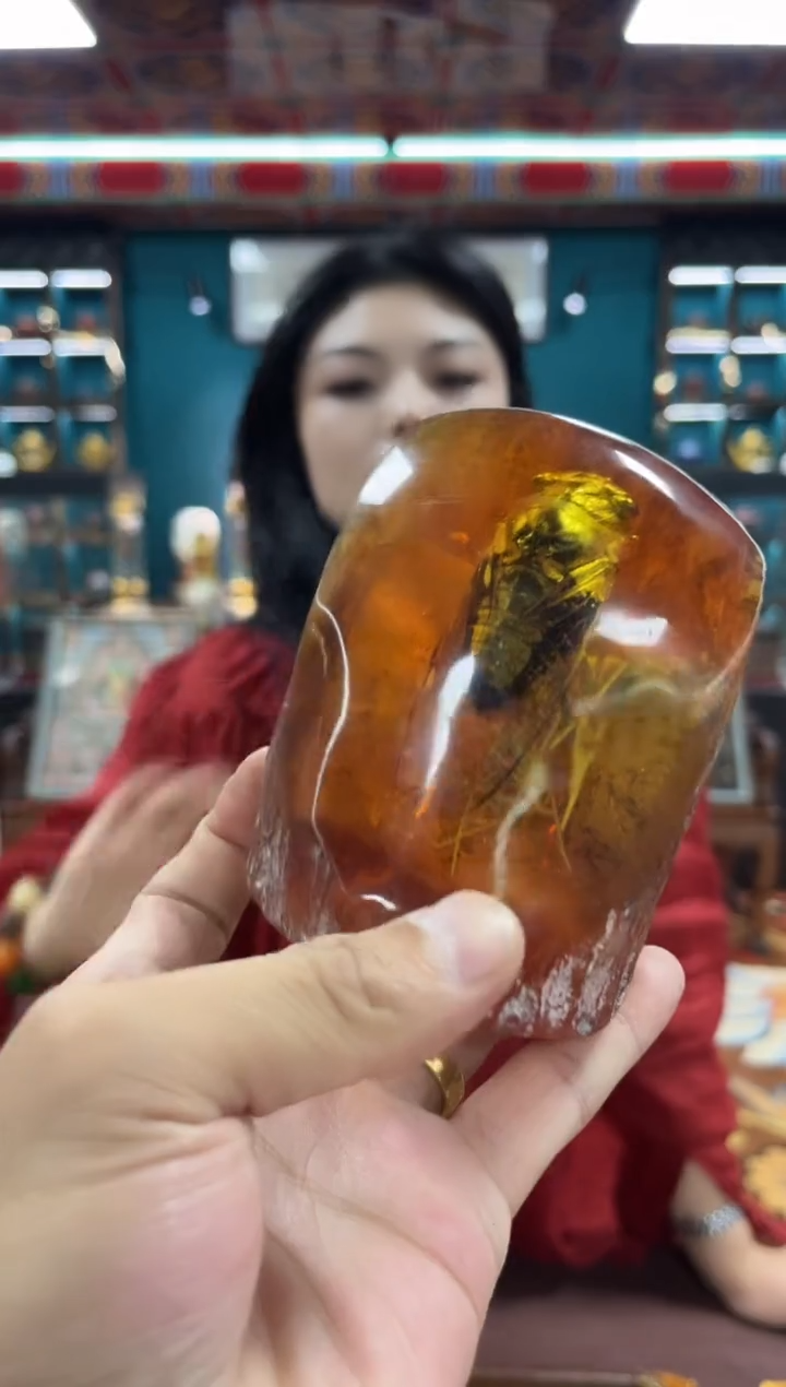 5三咚咚咚咚咚咚咚