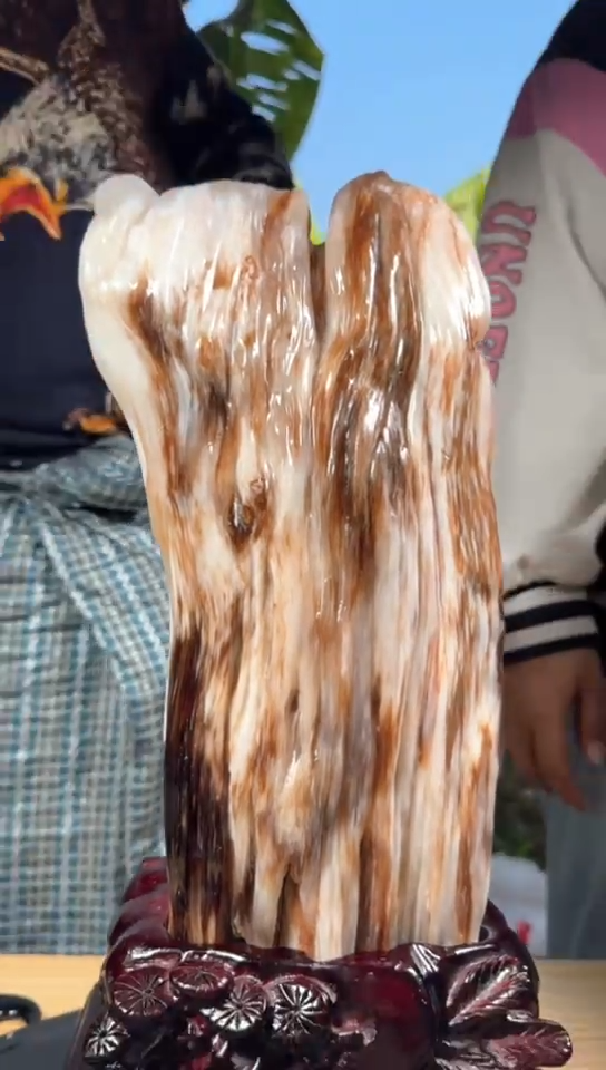 【闪购商品】硅化玉珠宝奇石未镶嵌拍一发一