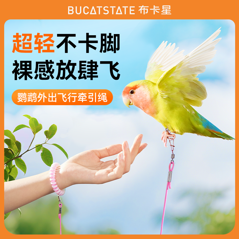 布卡星鹦鹉放飞绳户外遛鸟牵引弹力绳牡丹虎皮超轻不伤脚链训练绳
