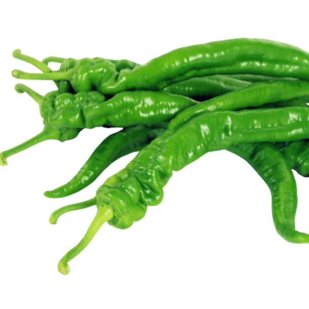 新鲜 陇椒500g