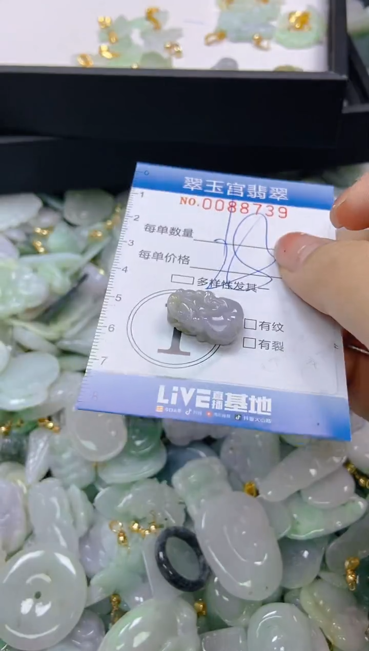 【闪购商品】翡翠颈饰未镶嵌闪购0088739
