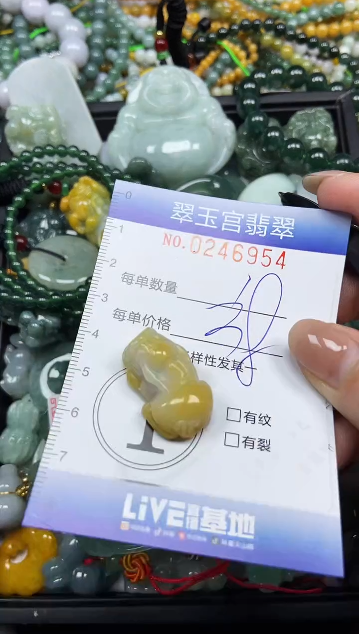 颈饰未镶嵌翡翠闪购C0246954