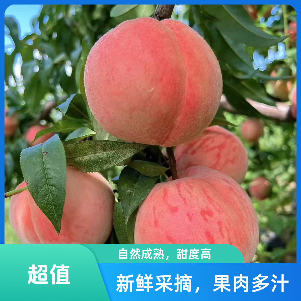 【头茬平谷大桃-突围】拍三斤送两斤 脆甜多汁爱吃软桃静置几天 精选包甜包好吃 次日达限量100单！！北京市