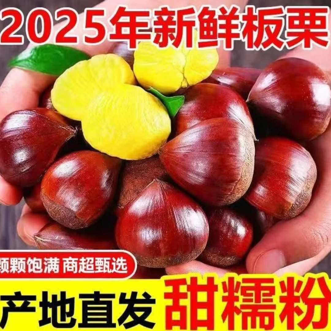 【买3斤送2斤】2025年新鲜现摘高山板栗甘甜清脆生栗子板栗