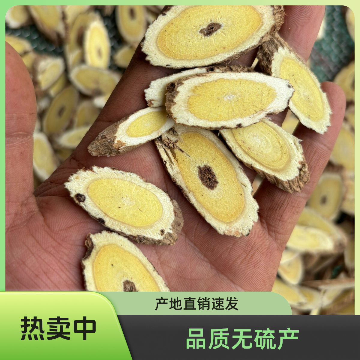 甘肃精选沙苑子野生黄芪主干切片，正宗无硫泡茶煮汤泡酒产地直销