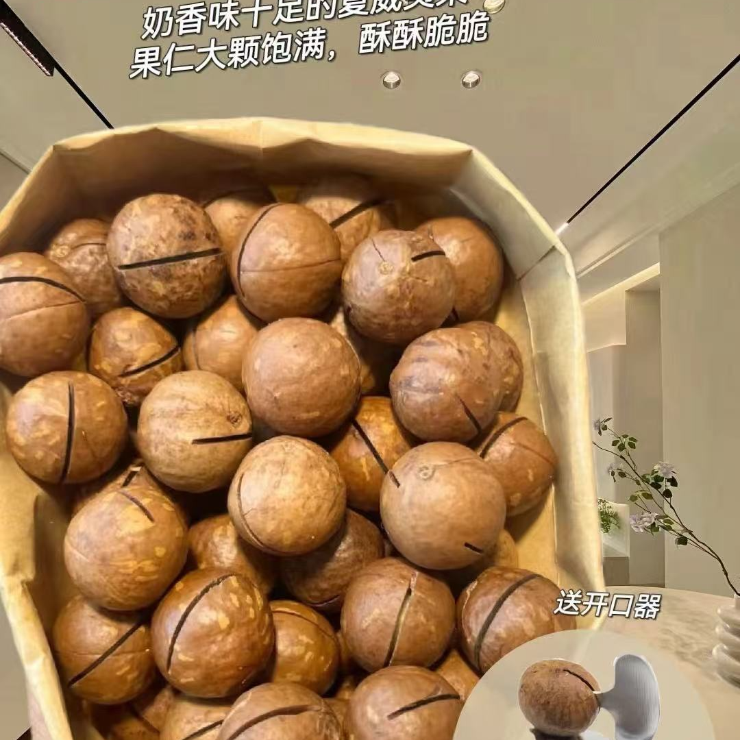 正宗夏威夷果送开口器大颗粒2024年新货美食包邮新疆特产干果坚果