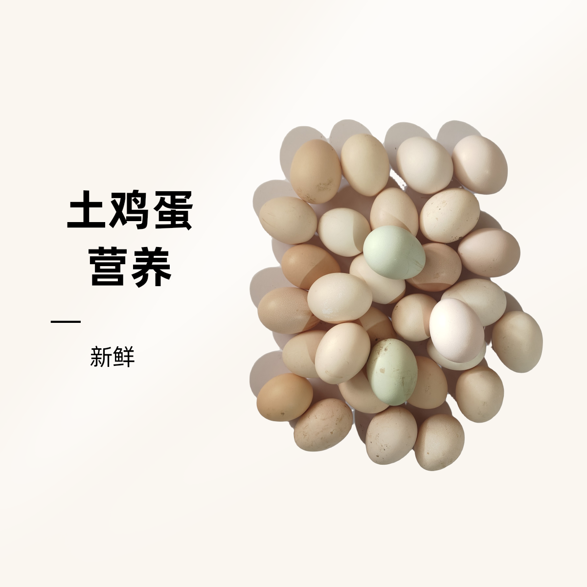 农家正宗散养土鸡蛋新鲜营养现捡柴鸡蛋