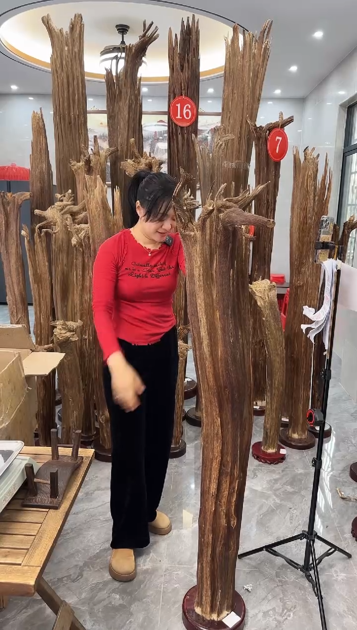 【闪购商品】沉香摆件沉香摆件多样性发货一个44