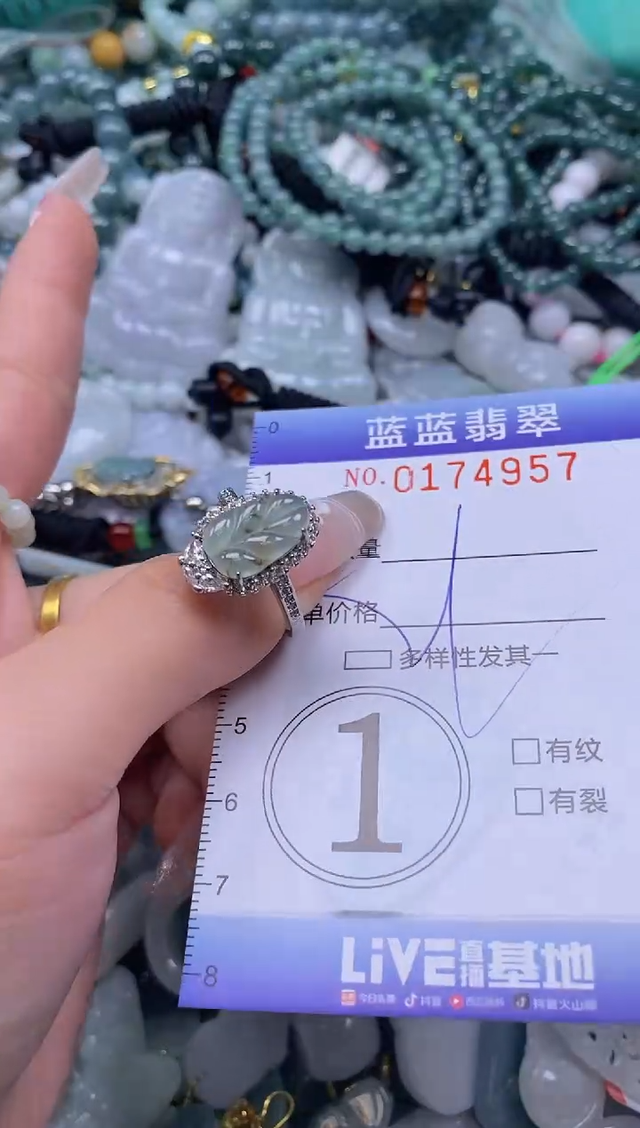 【闪购商品】翡翠颈饰未镶嵌闪购0174957