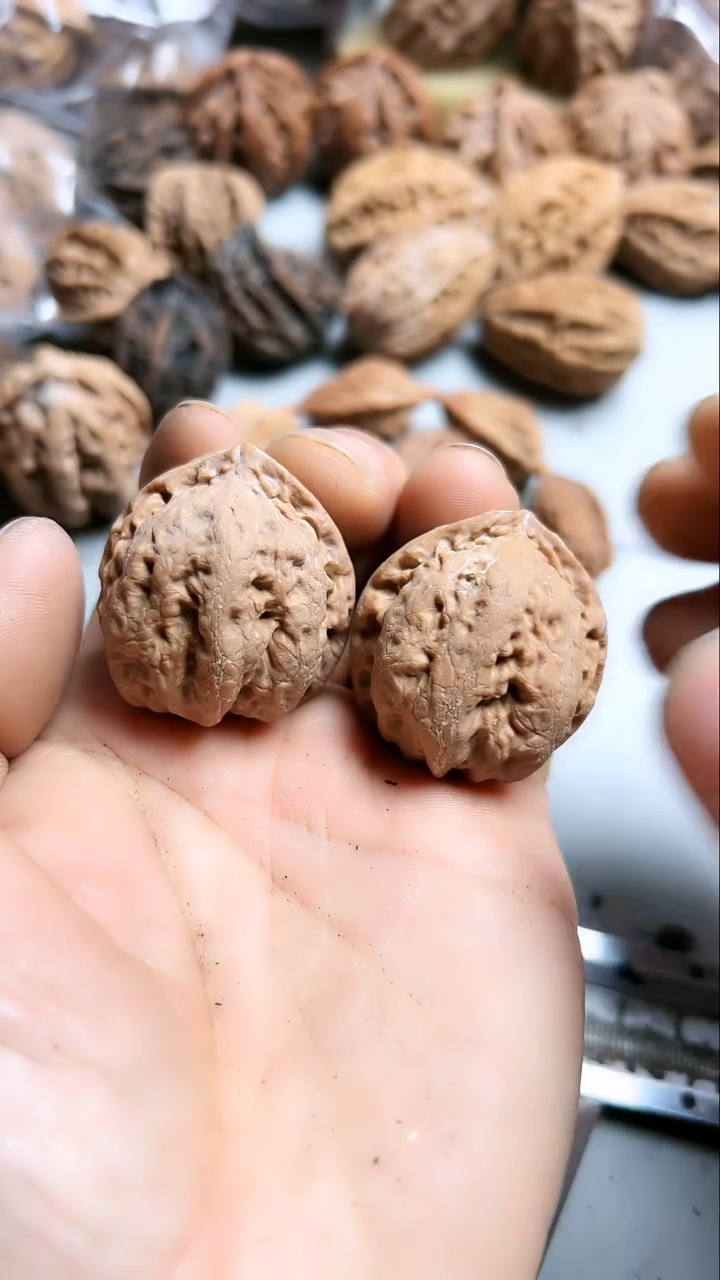 核桃东北野生大秋子12