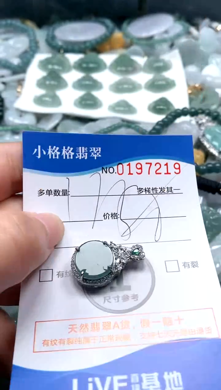 【闪购商品】翡翠颈饰未镶嵌闪购商品0197219