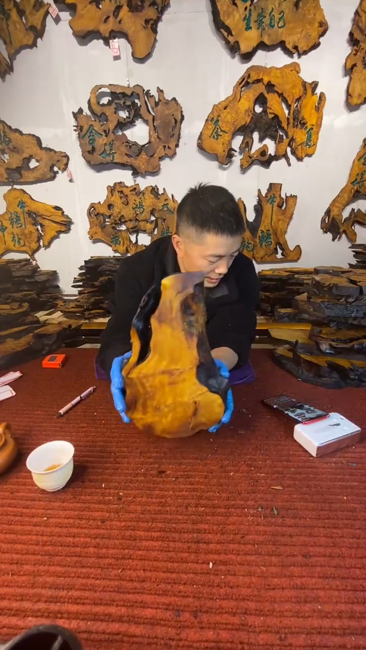 香杉木定制浮沉干泡台香杉树瘤树根料