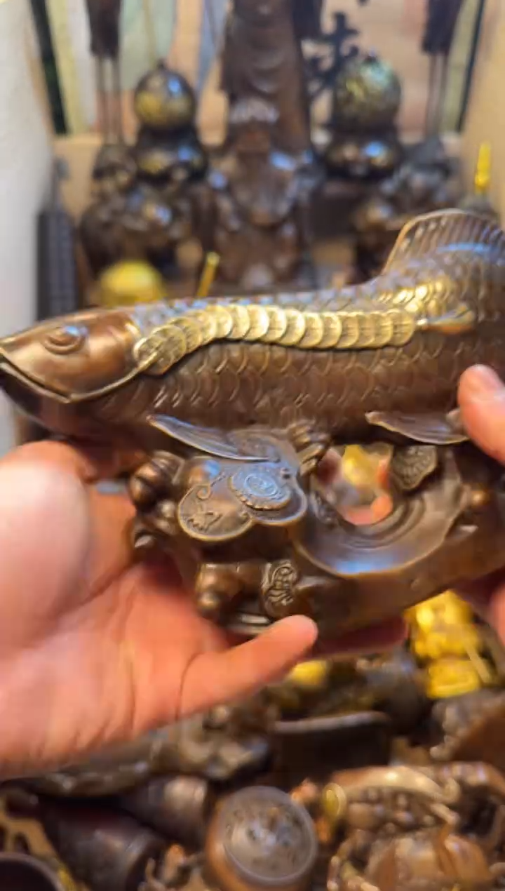 精品专属链接---【金龙鱼】