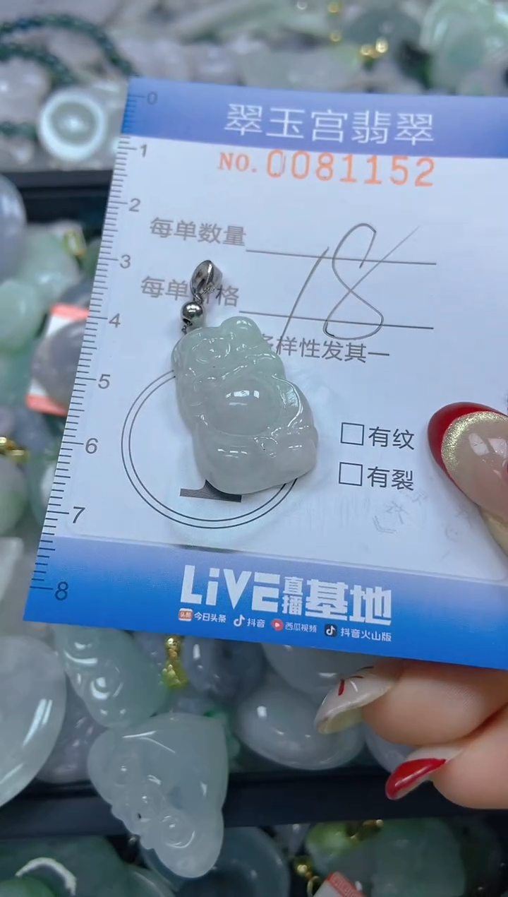 【闪购商品】翡翠颈饰未镶嵌闪购0081152