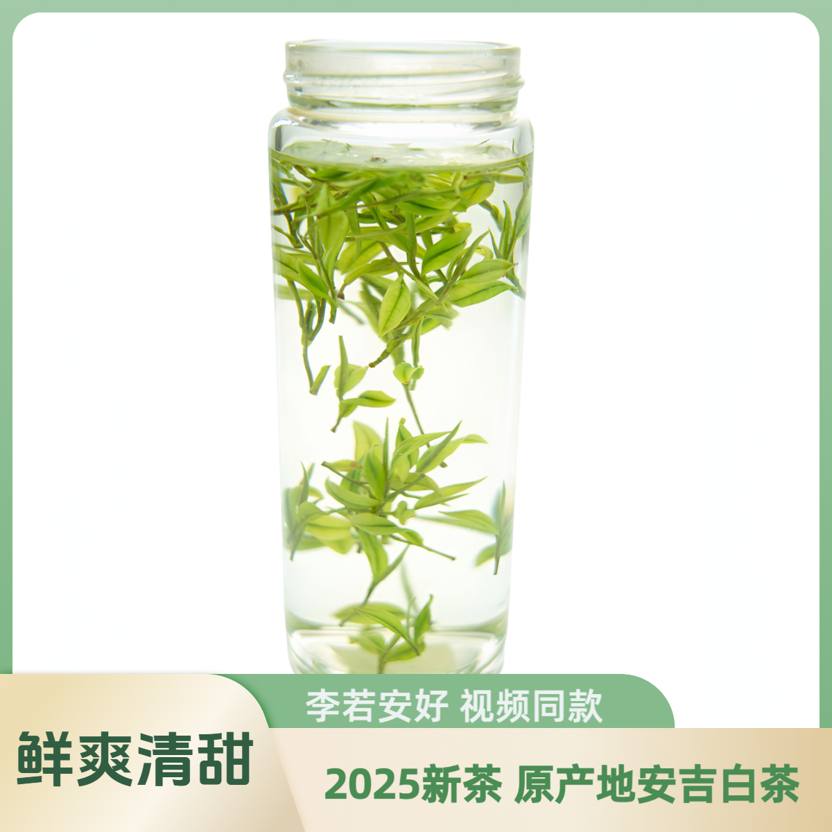 【原产地安吉白茶】安吉核心产区2025明前茶嫩芽绿茶鲜爽新茶清甜