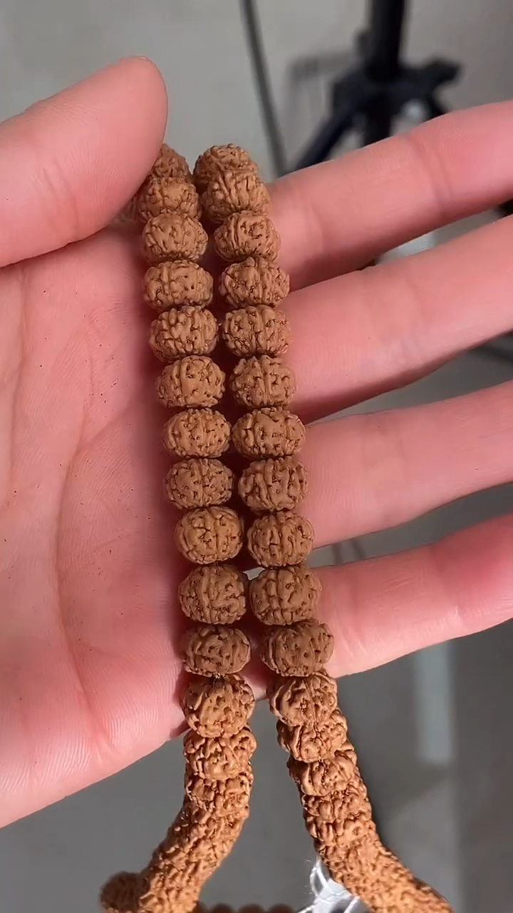 【闪购商品】金刚菩提吊坠719原皮原色六瓣勿里达老树王长串+工具