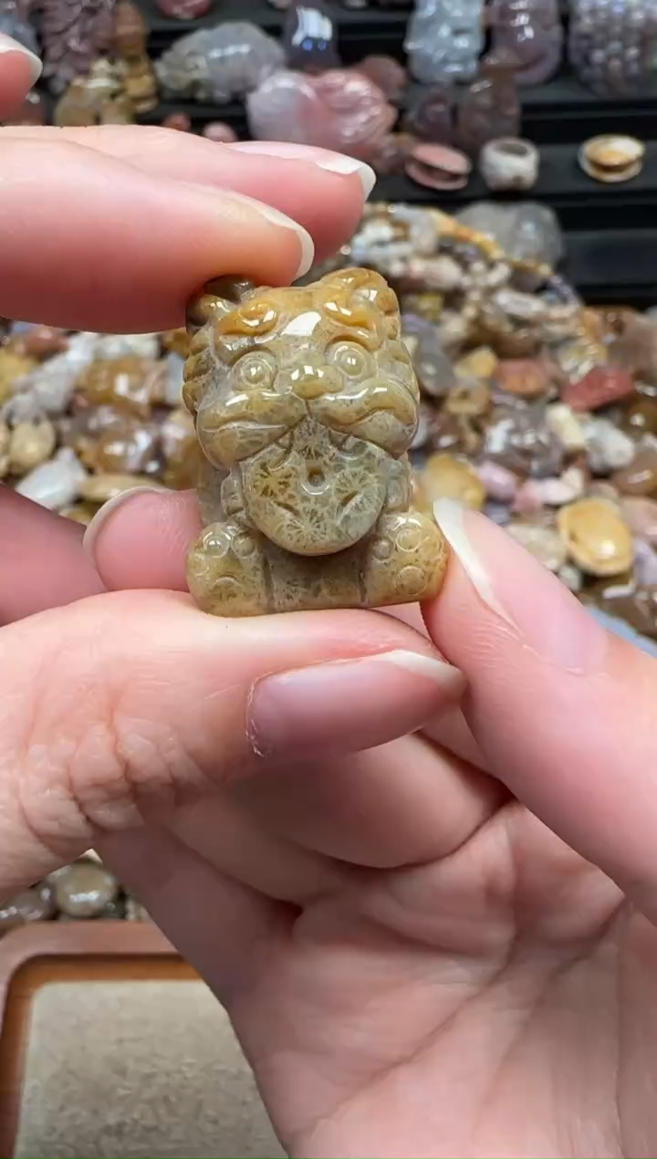 颈饰未镶嵌硅化珊瑚（珊瑚玉）455