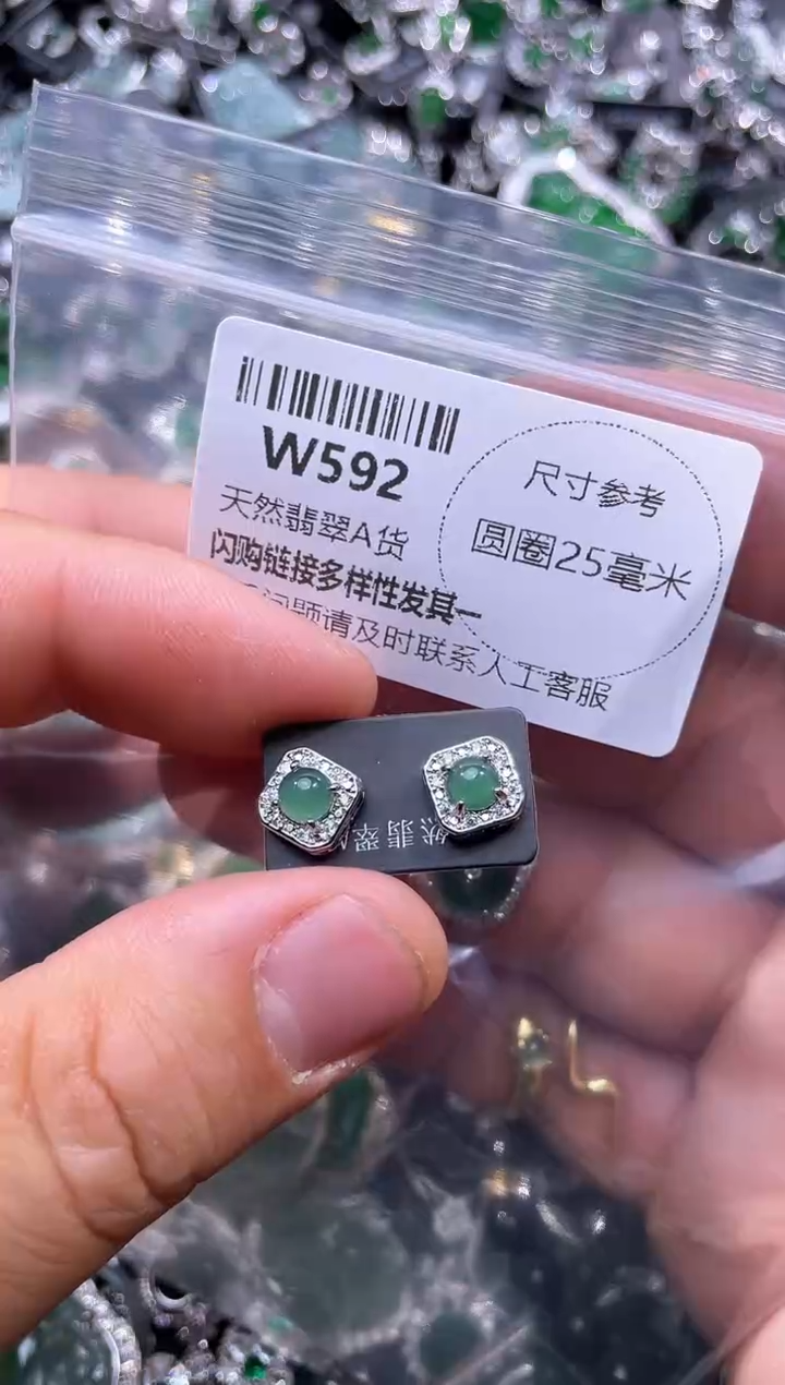 【闪购商品】翡翠颈饰未镶嵌W592耳钉