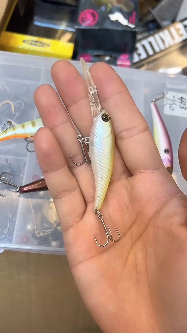 58 泳道路亚 专拍链接