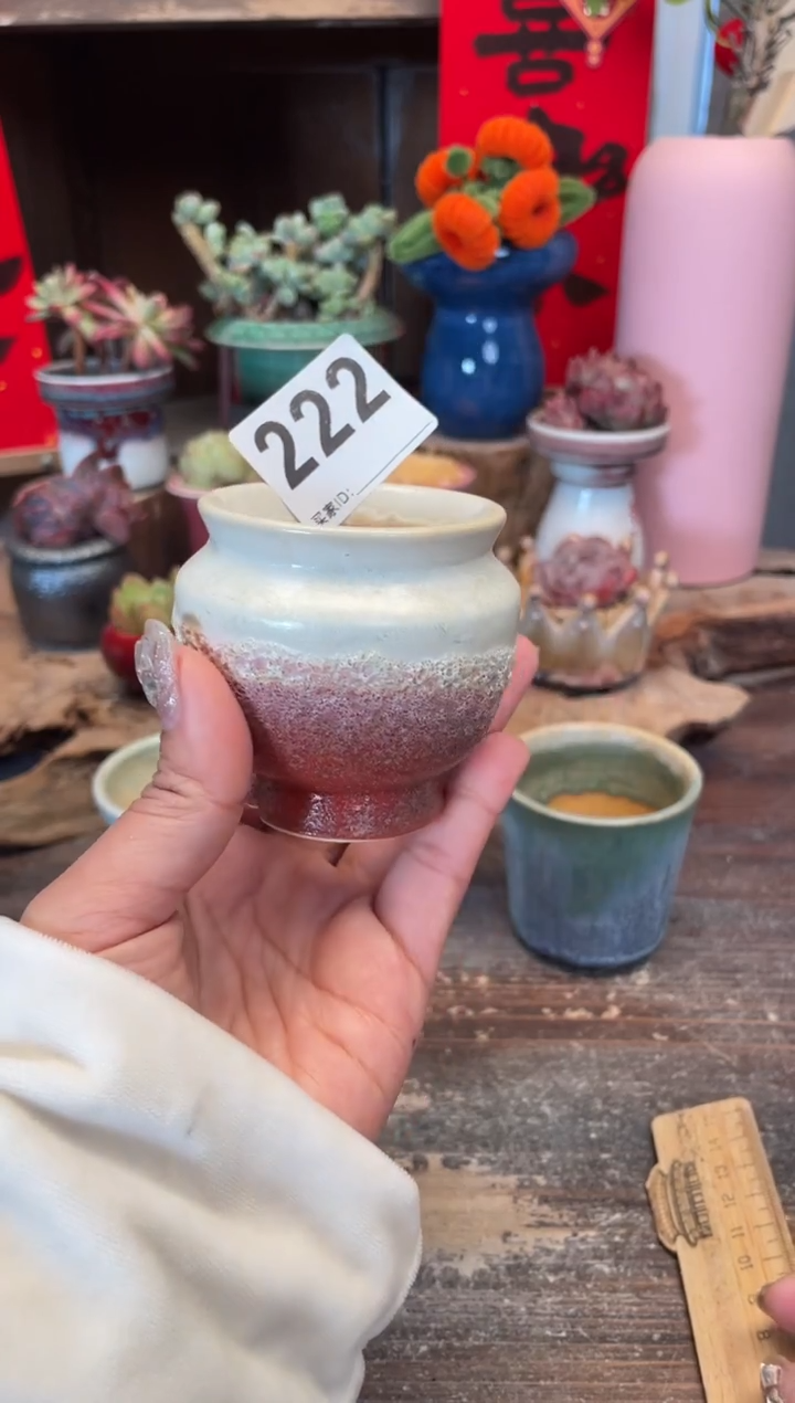 【闪购商品】摆件222知木小芳花盆