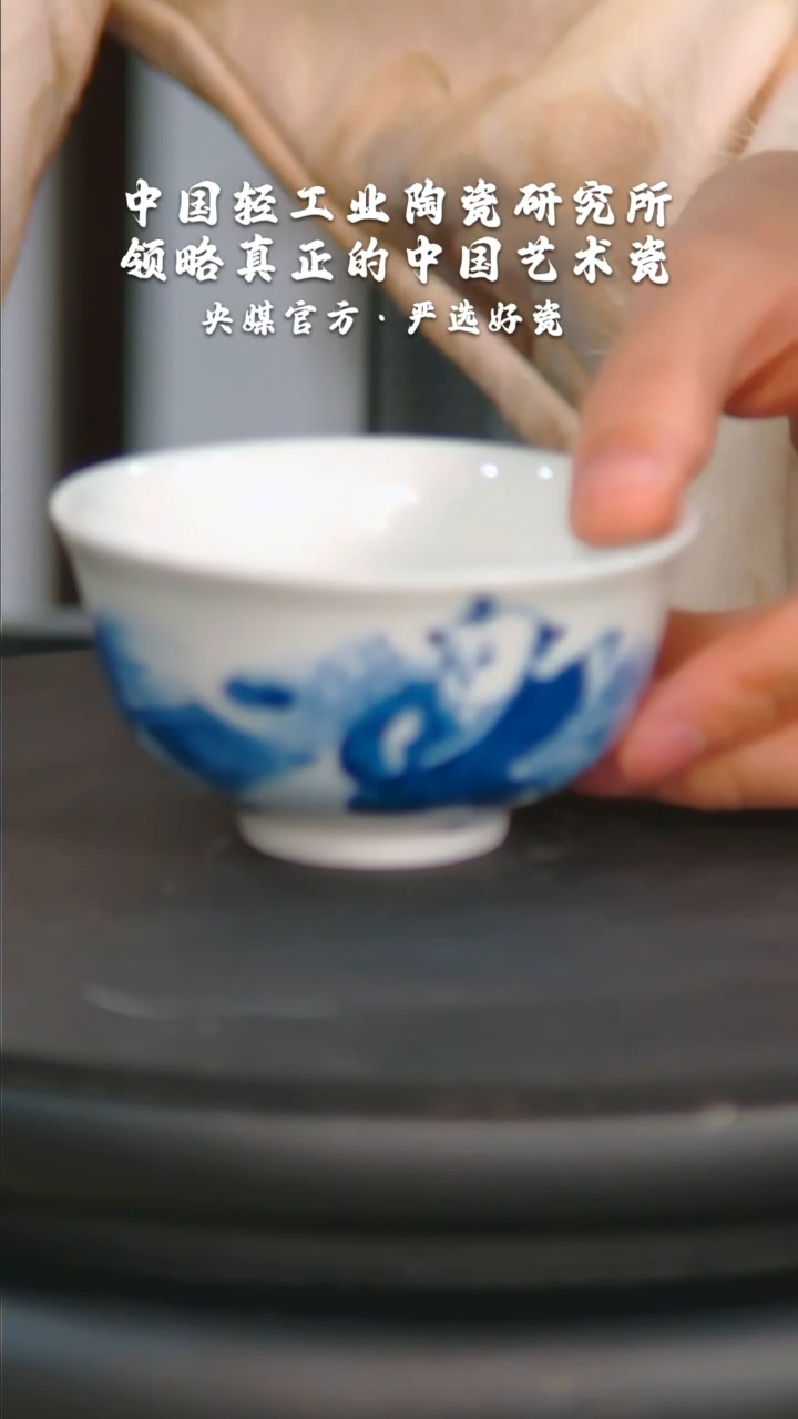 【闪购商品】瓷片陶瓷 研究所    流水6