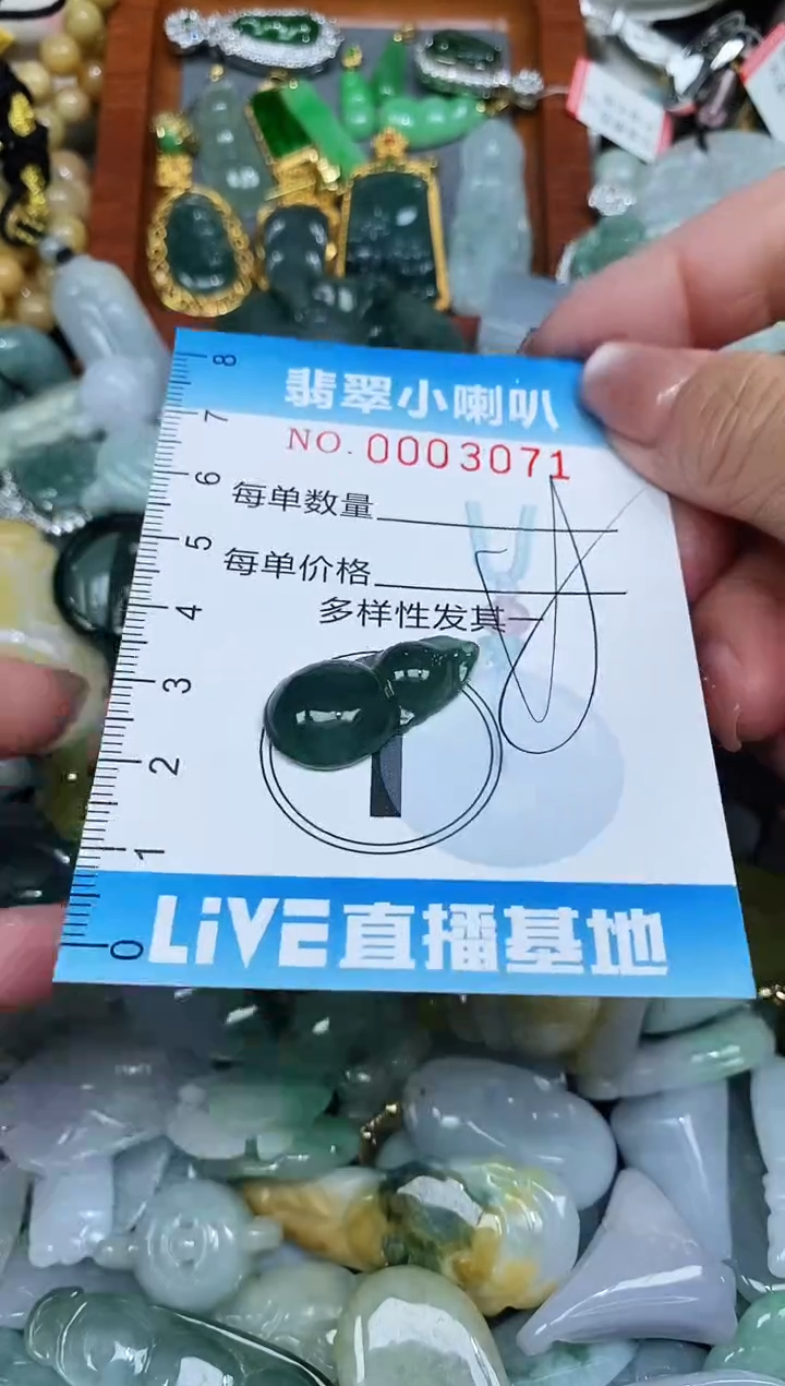 【闪购商品】翡翠颈饰未镶嵌闪购0003071多样性发其一