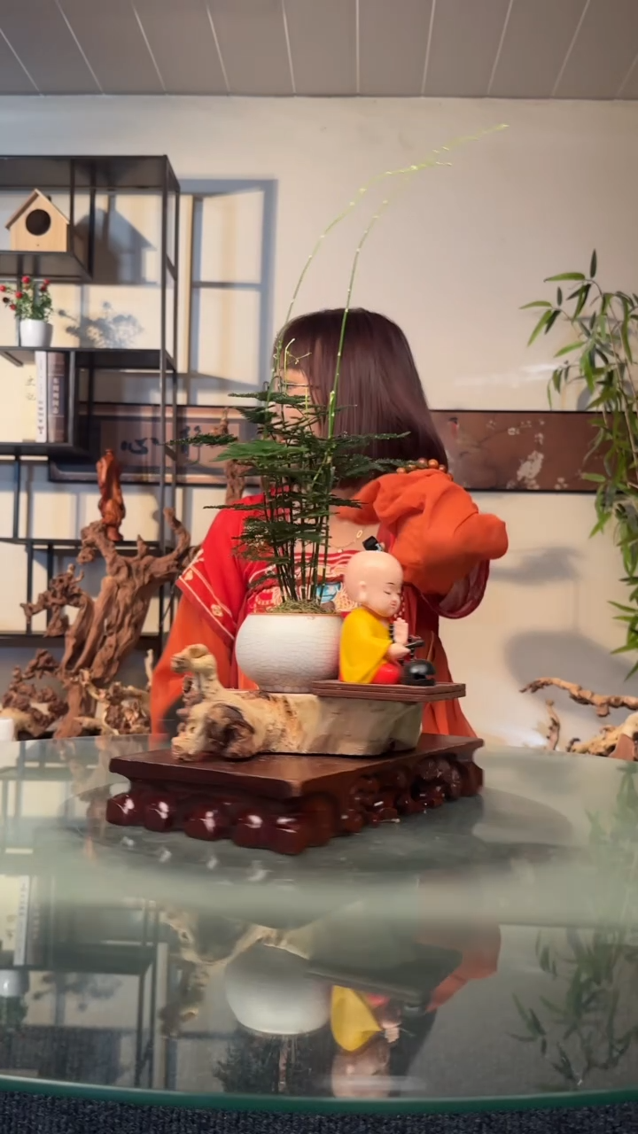 石*金丝红木红木613