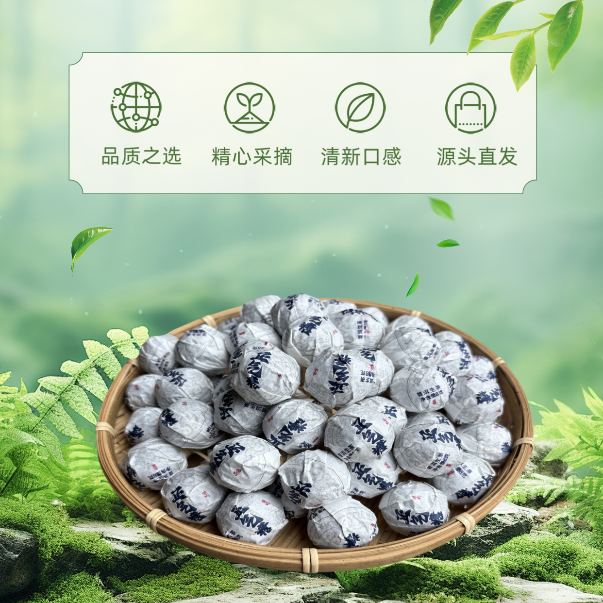 「正气塘」  2023年春  龙珠 普洱生茶  8g*30