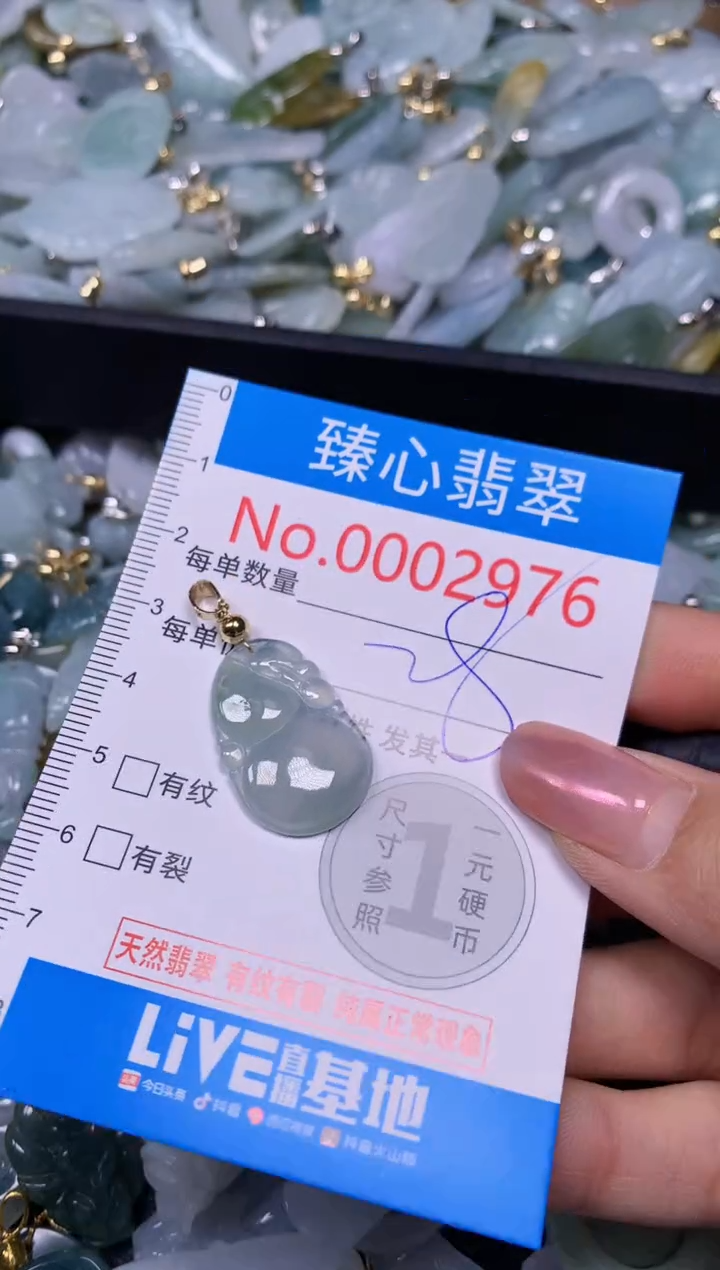 【闪购商品】翡翠颈饰未镶嵌含绳0002976