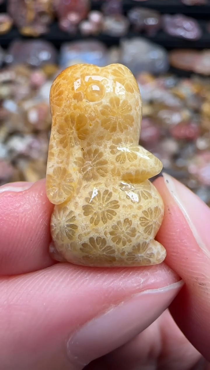 颈饰未镶嵌硅化珊瑚（珊瑚玉）339