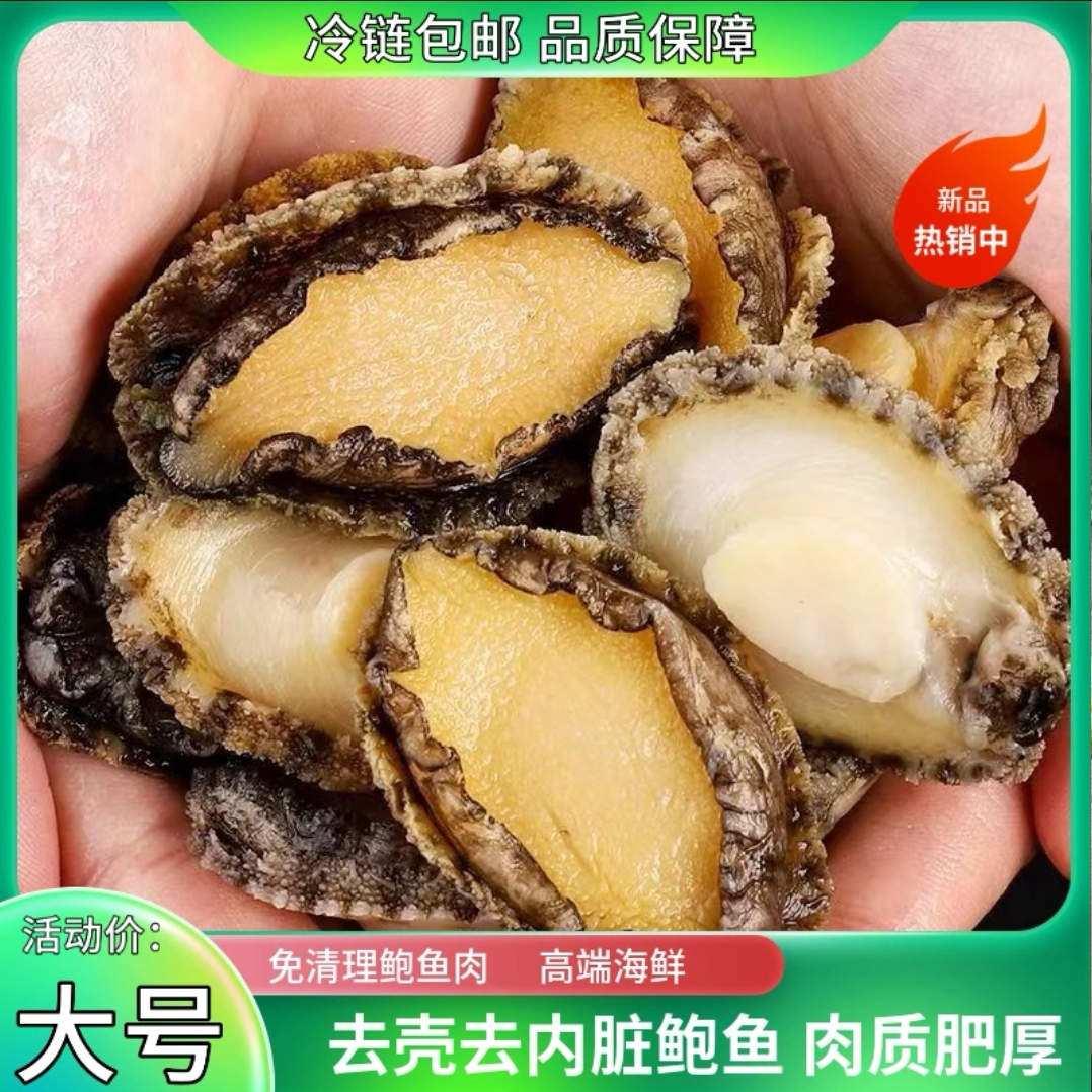 【G鲜冻】大号5-6厘米长新鲜鲍鱼肉精选7头鲍鱼现剥九孔鲍冷链包邮