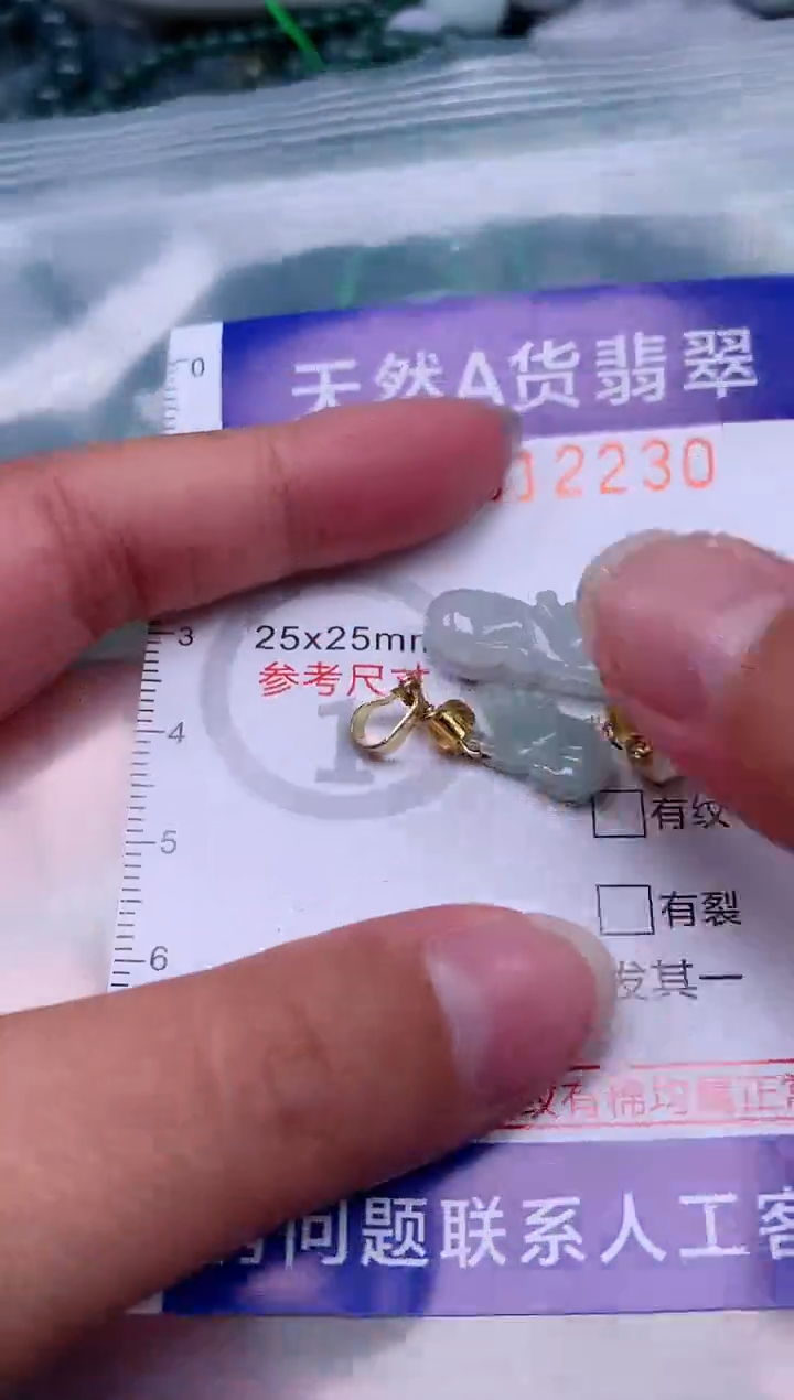 翡翠未镶嵌吊坠(赠链)1