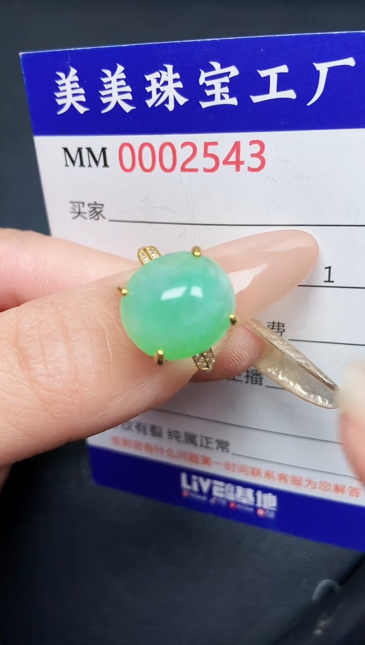 【闪购商品】翡翠颈饰银S925镶嵌2543