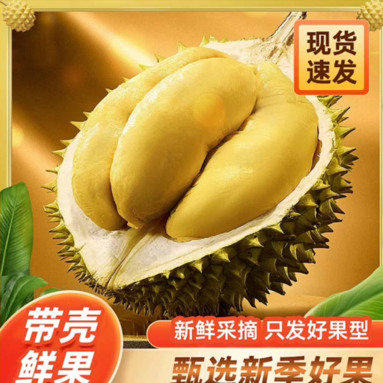 【①号】歪·一物一拍泰国金枕榴莲A级果软糯香甜顺丰包邮不要生切-