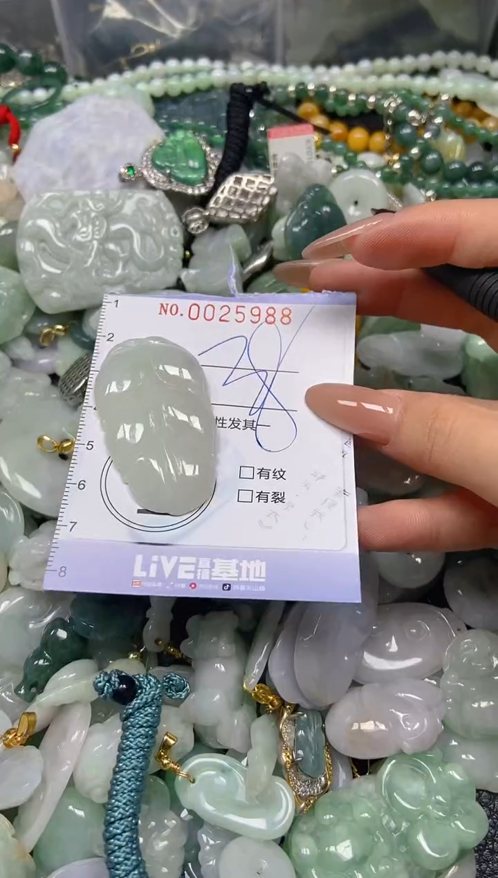 【闪购商品】翡翠颈饰未镶嵌闪购0025988