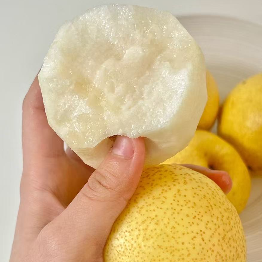 蜂蜜梨·野里垣北方蜂蜜梨脆甜多汁手提礼盒【顺丰包邮】