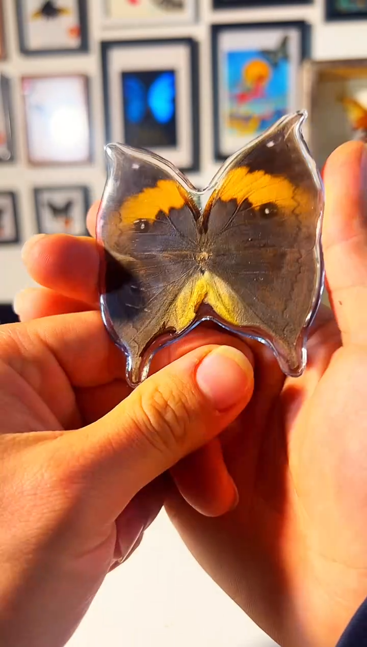 有机玻璃83783873