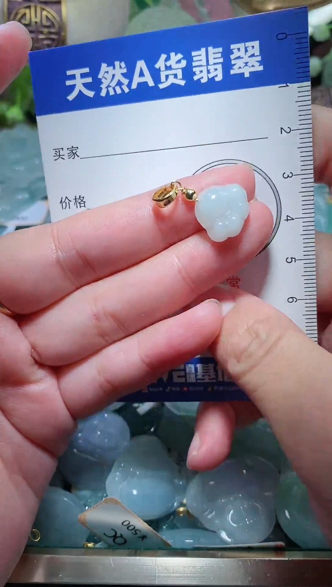 【闪购商品】翡翠颈饰未镶嵌天然A货翡翠一件