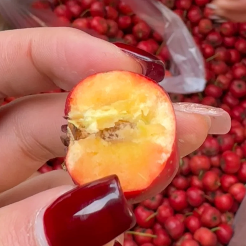 【山里红山楂】酸甜可口