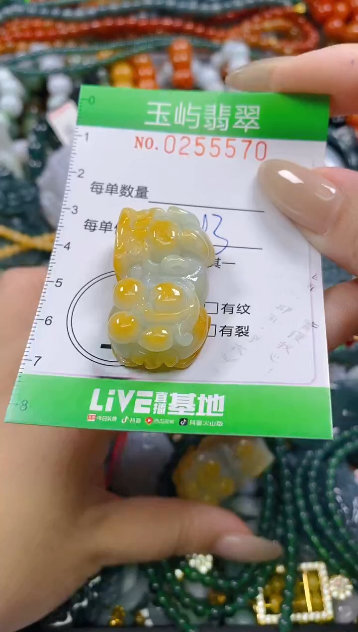 颈饰未镶嵌翡翠圆*闪购0255570