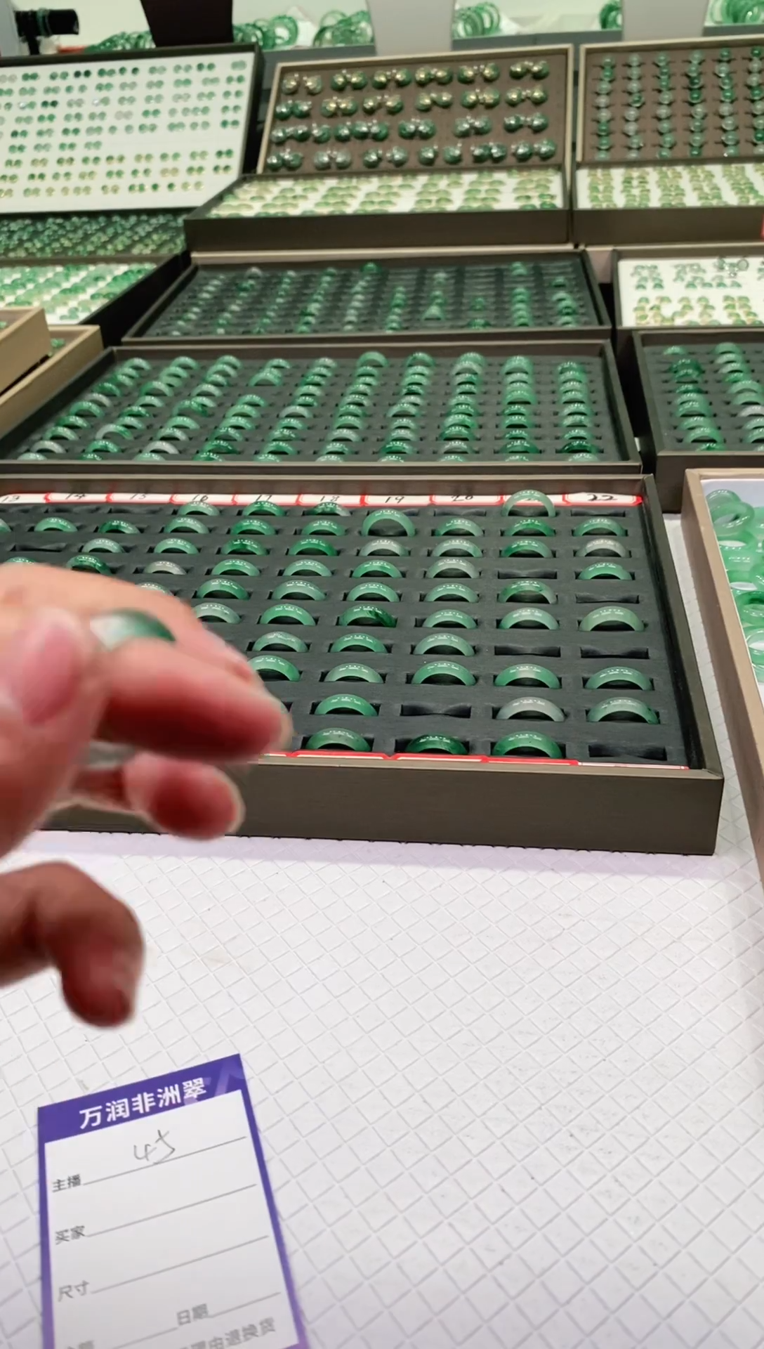 未镶嵌石英质玉（非洲翠）戒圈陈*高货戒圈