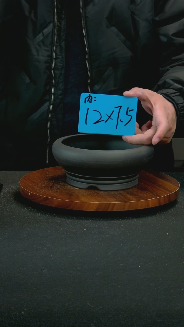 【闪购商品】紫砂F100