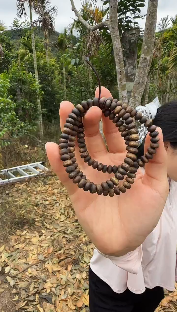 【闪购商品】沉香手串随型算盘单圈沉香手串多样性发一